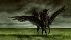 Black Horses fields pegasus fantasy art
