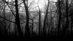 Black love white and related pic semi