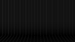 Black monochrome pinstripe