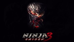 Black ninja gaiden 3 video games
