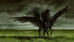 Black pegasus perfect thanks