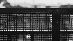 Black rain white tears bn vansid