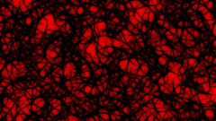 Black red bit amp quite changed anyway