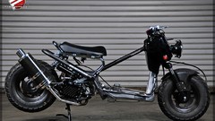 Black Scooters Honda Ruckus