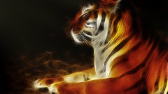 Black Tigers Fractalius Photo