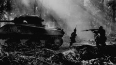 Black War time share and high whites lets