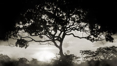 Black white and moar indeed