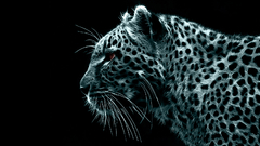 Black white digital Leopards