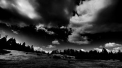 Black white high itt fbc hdri Resolution