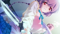 Blade Anime anime girls waitress carnelian game cg low-angle 