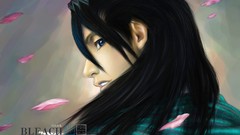 Bleach alternative art Kuchiki