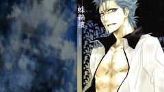 Bleach Espada grimmjow jaegerjaquez