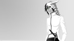 Bleach Espada Simple Background