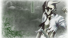 Bleach Espada Ulquiorra Cifer