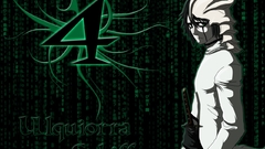 Bleach Espada Ulquiorra Cifer