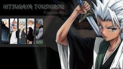 Bleach Hitsugaya Toshiro