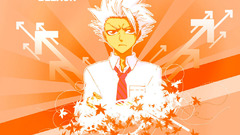 Bleach Hitsugaya Toshiro