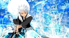 Bleach Hitsugaya Toshiro