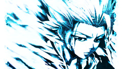 Bleach Hitsugaya Toshiro