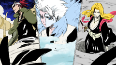 Bleach hitsugaya Toshiro abarai