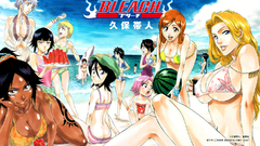 Bleach inoue orihime Soifon