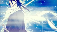 Bleach Kuchiki byakuya