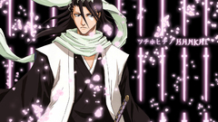 Bleach Kuchiki byakuya