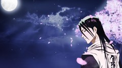 Bleach Kuchiki byakuya