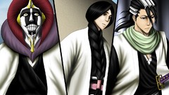 Bleach Kuchiki byakuya Kurotsuchi Mayuri Unohana Retsu