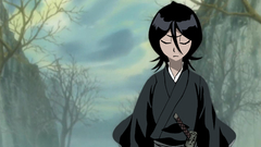 Bleach kuchiki rukia
