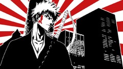 Bleach kurosaki ichigo