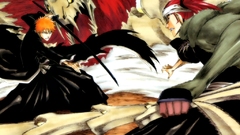 Bleach kurosaki ichigo Abarai
