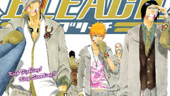 Bleach kurosaki ichigo abarai