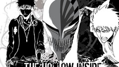 Bleach kurosaki ichigo Anime