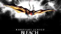 Bleach kurosaki ichigo bankai