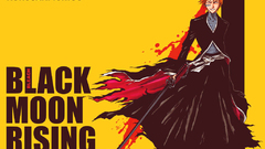 Bleach kurosaki ichigo bankai