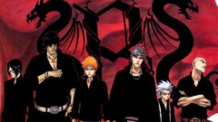 Bleach kurosaki ichigo Banners Hitsugaya Toshiro anime boys 