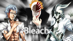 Bleach kurosaki ichigo Espada