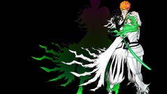 Bleach kurosaki ichigo Espada