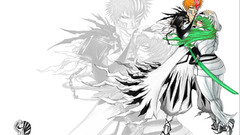 Bleach kurosaki ichigo Espada