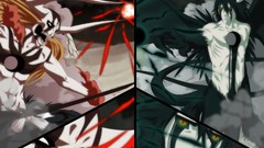 Bleach kurosaki ichigo Espada