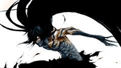 Bleach kurosaki ichigo Final