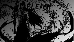 Bleach kurosaki ichigo Final