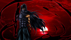 Bleach kurosaki ichigo Final