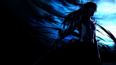 Bleach kurosaki ichigo Final