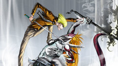 Bleach kurosaki ichigo Hirako