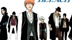 Bleach kurosaki ichigo hirako