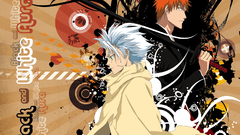 Bleach kurosaki ichigo Hitsugaya