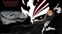 Bleach kurosaki ichigo Hollow