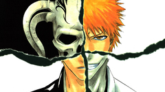Bleach kurosaki ichigo Hollow